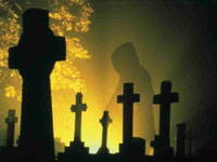 Photo Thumbnail