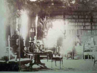 Photo Thumbnail