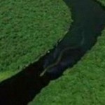 Giant snake lurking in Borneo river