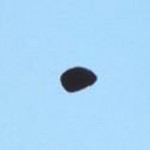 Siberian UFO sighted