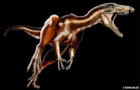 T rex little cousin discovered T rex little cousin discovered %categort
