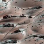 MASA photographs trees on Mars