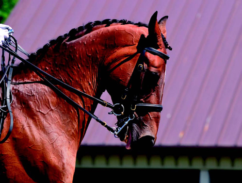 horse-mane