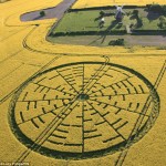 Crop circle’s a beautiful maths theory