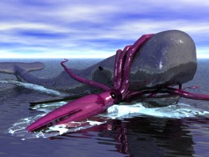 whalesq
