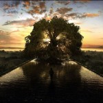 Fountain of youth pill