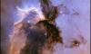 Professor's alien life 'seed' theory claimed 